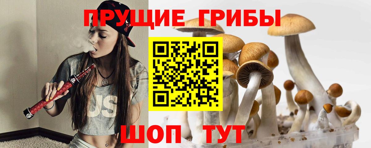 Галлюциногенные грибы мицелий Лабытнанги